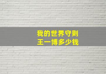 我的世界守则 王一博多少钱